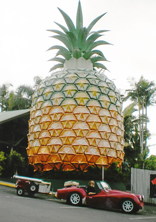 Big Pineapple - Nambour